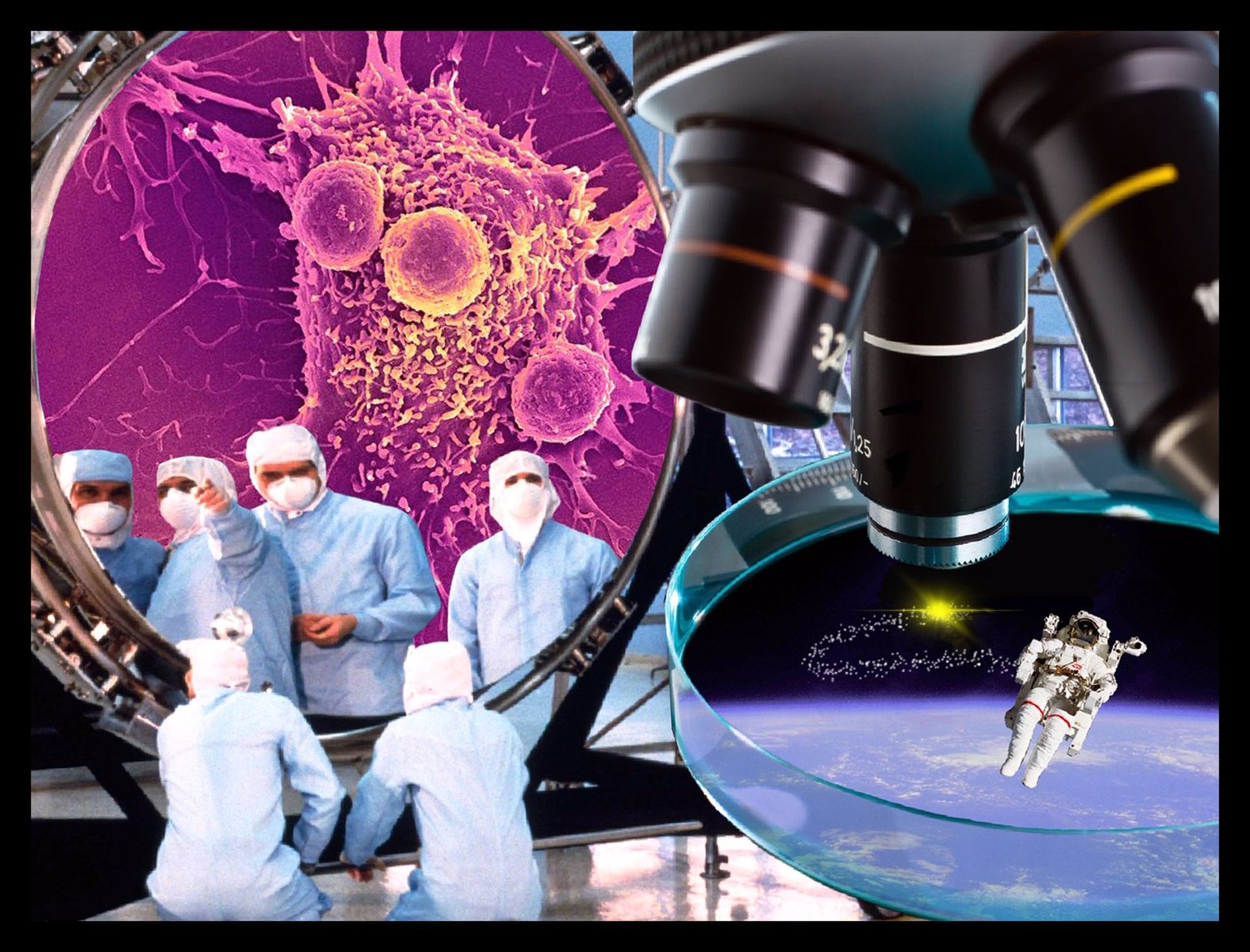 Reflections on the Search for Life